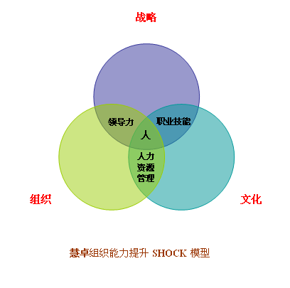shock model